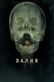 Залив